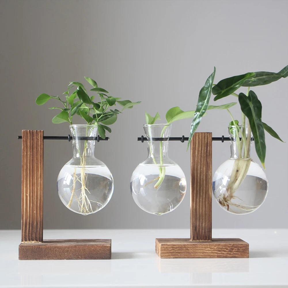 Creative Glass Desktop Planter with Wooden Stand