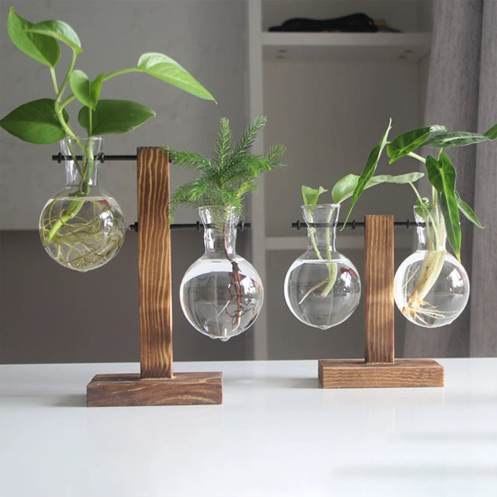 Creative Glass Desktop Planter with Wooden Stand